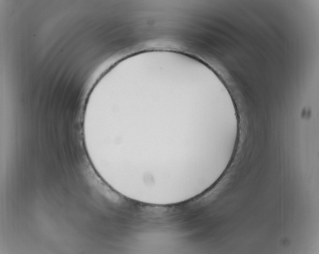 X0000110771248200907131226