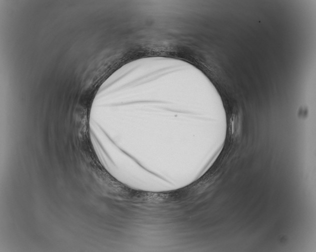 X0000110771251200907131225