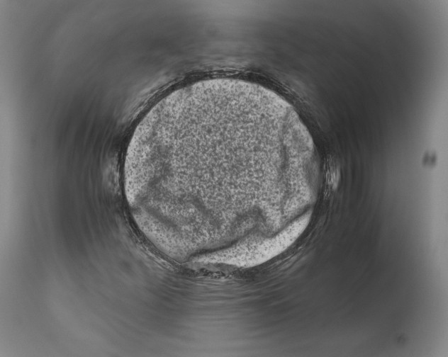 X0000110771252200907131225