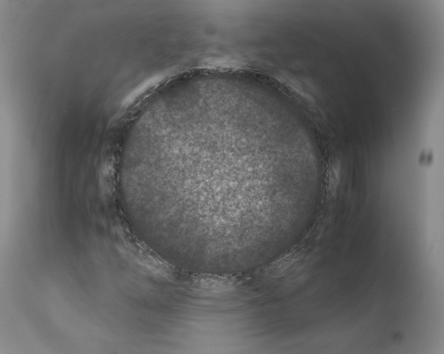 X0000110771254200907131225