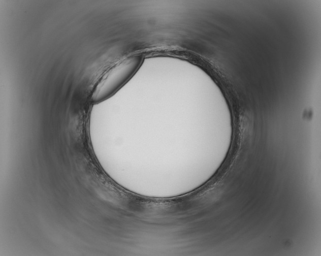 X0000110771257200907131225