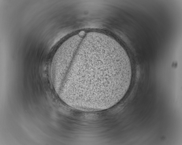 X0000110771258200907131225