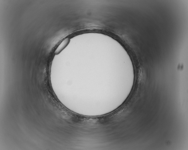 X0000110771261200907131225