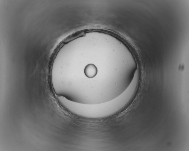 X0000110771264200907131225