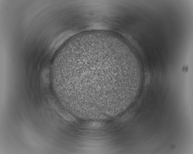 X0000110771266200907131225