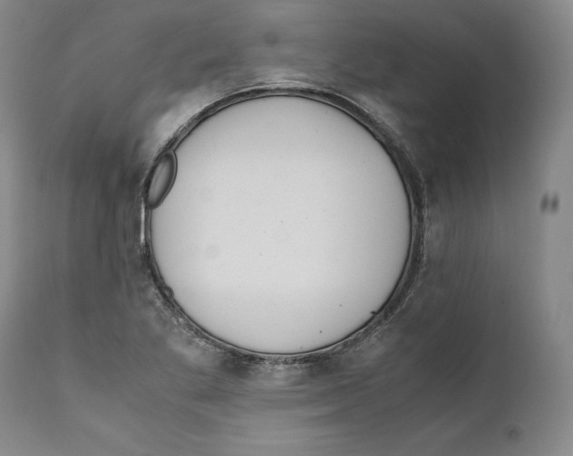 X0000110771269200907131225