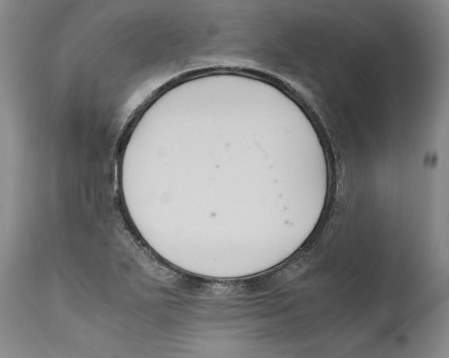 X0000110771271200907131225