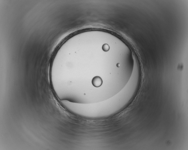 X0000110771272200907131225