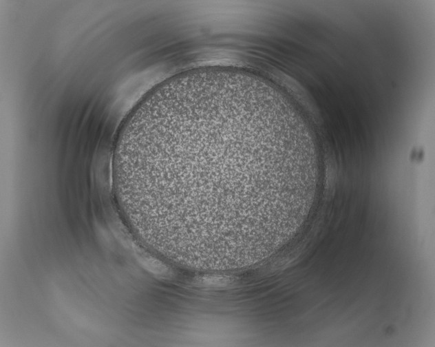 X0000110771274200907131225