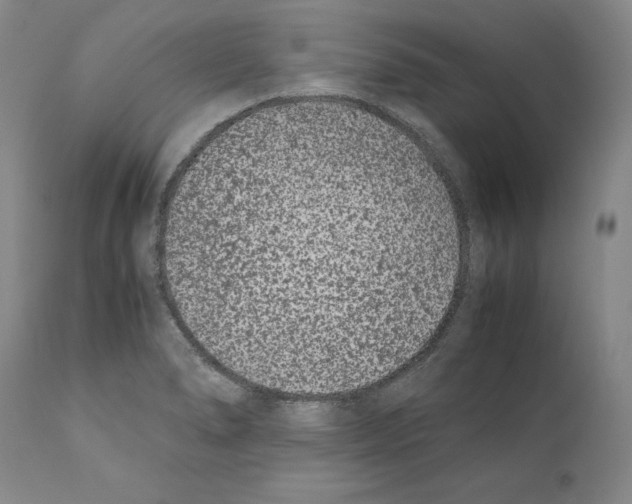 X0000110771278200907131225