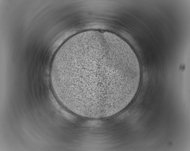 X0000110771282200907131225