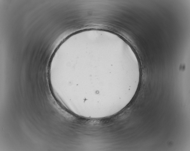 X0000110771283200907131225