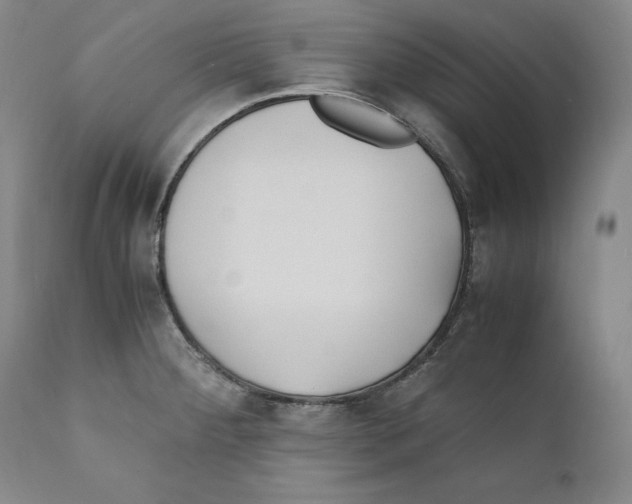 X0000110771284200907131225