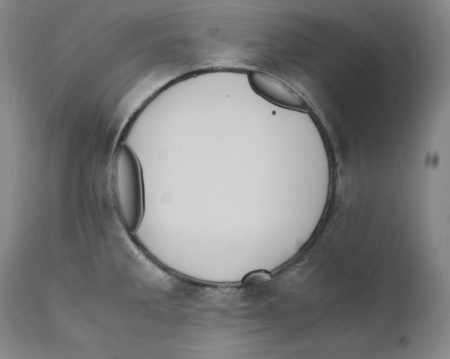 X0000110771285200907131225