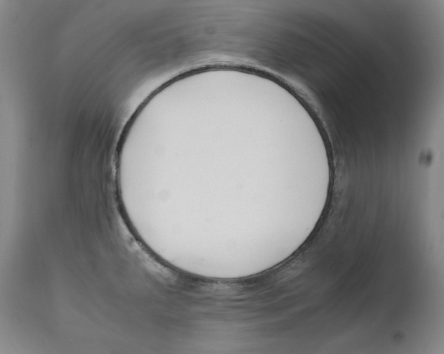 X0000110771287200907131225