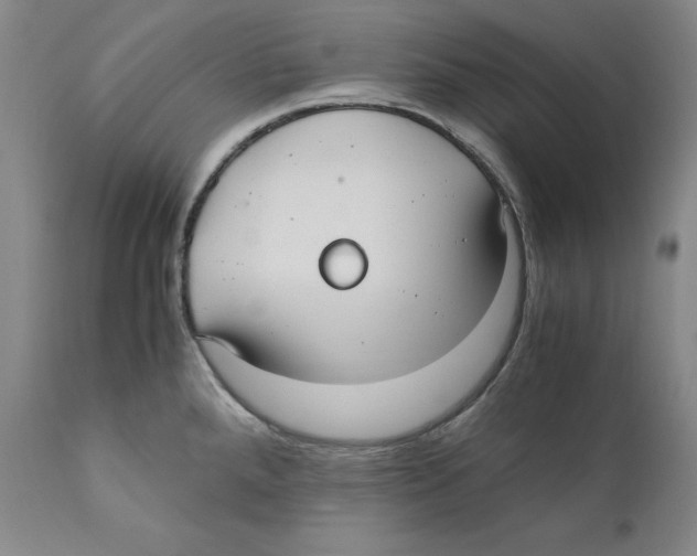 X0000110771288200907131225