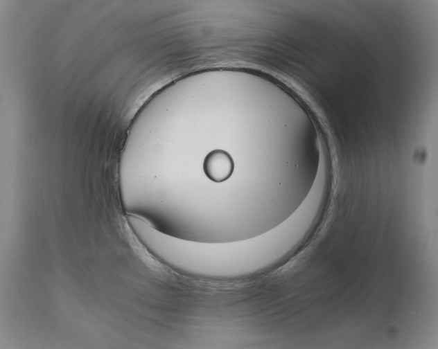 X0000110771289200907131225