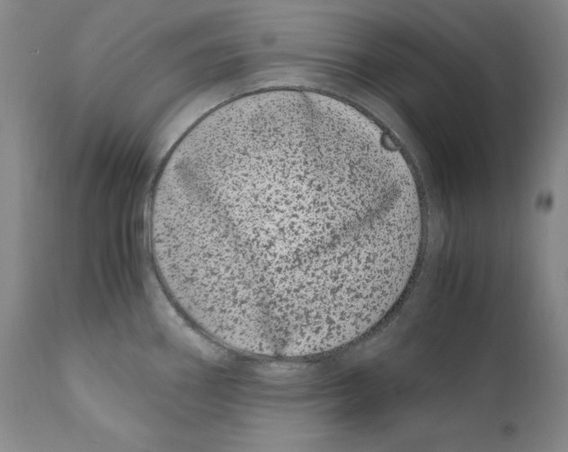 X0000110771290200907131225