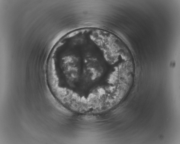 X0000110771291200907131225