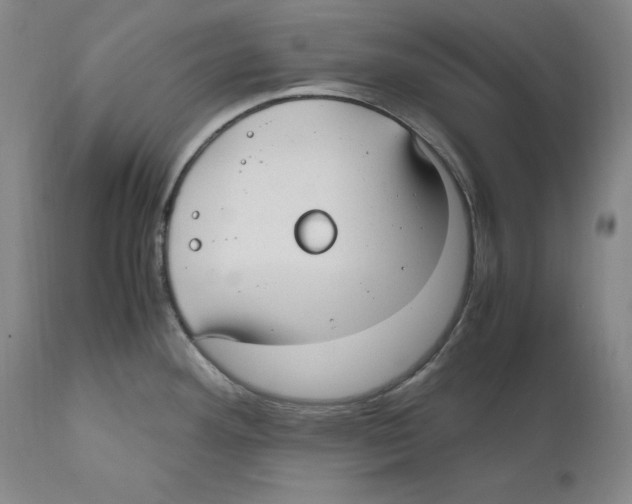 X0000110771292200907131225