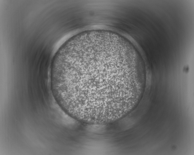 X0000110771294200907131225