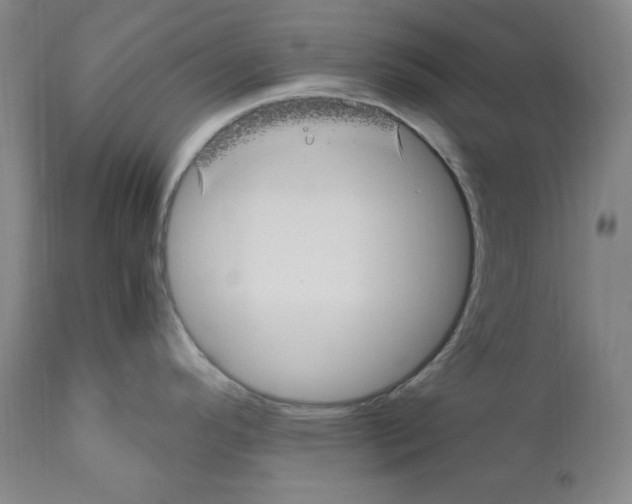 X0000110771296200907131225