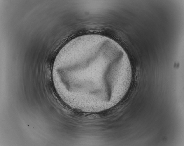 X0000110771298200907131224