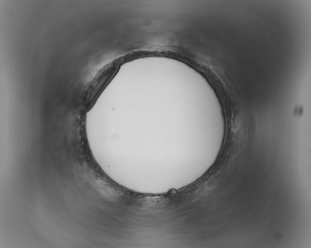 X0000110771304200907131224