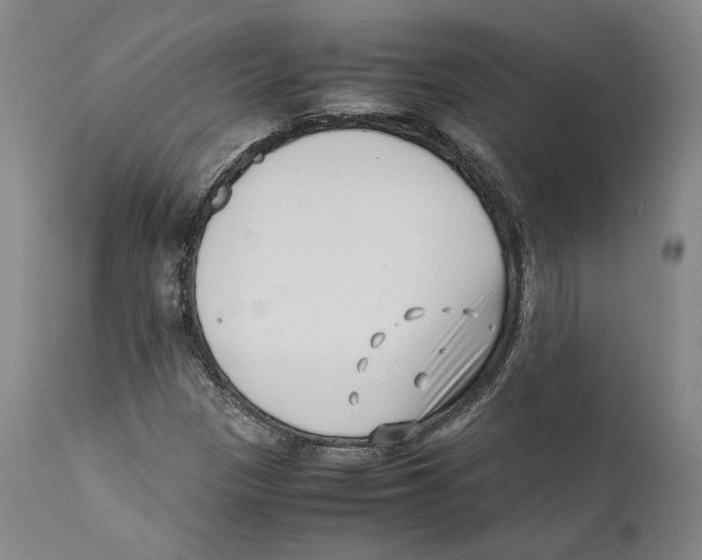 X0000110771305200907131224