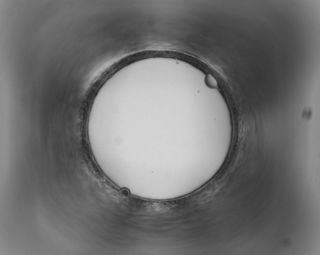 X0000110771311200907131224