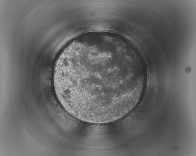 X0000110771314200907131224