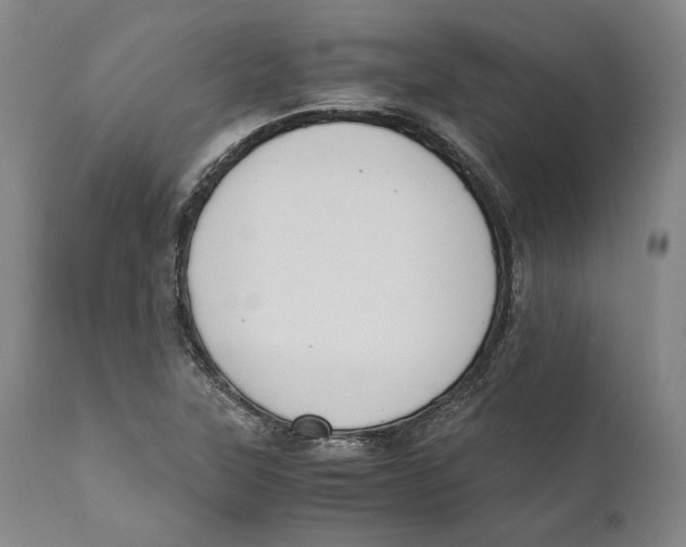 X0000110771315200907131224