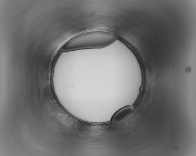 X0000110771316200907131224