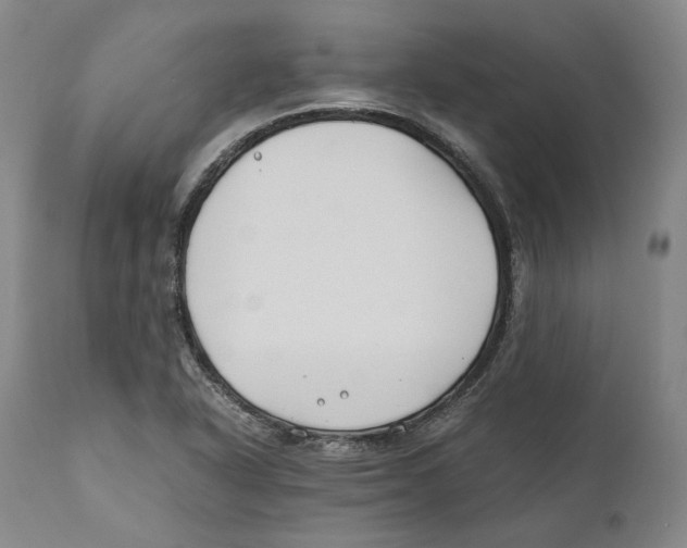 X0000110771318200907131224