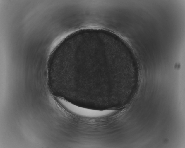 X0000110771319200907131224