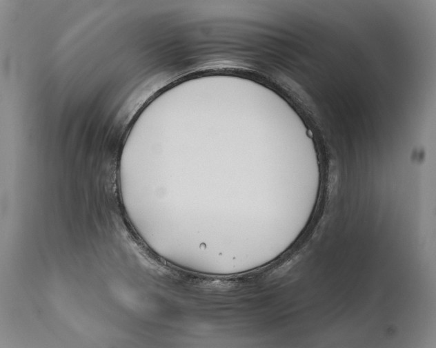 X0000110771321200907131224