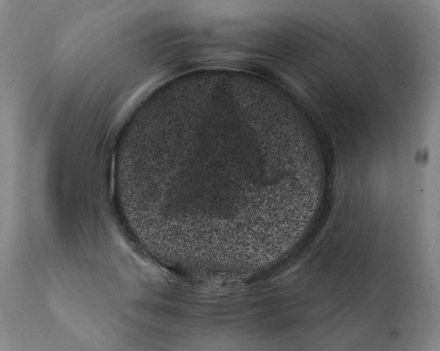 X0000110771323200907131224