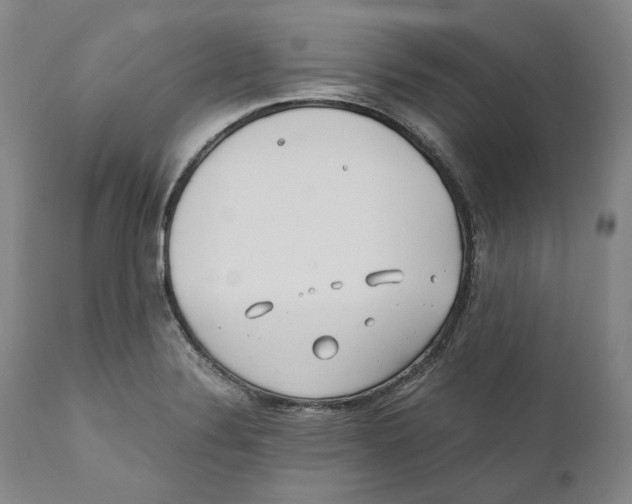 X0000110771324200907131224