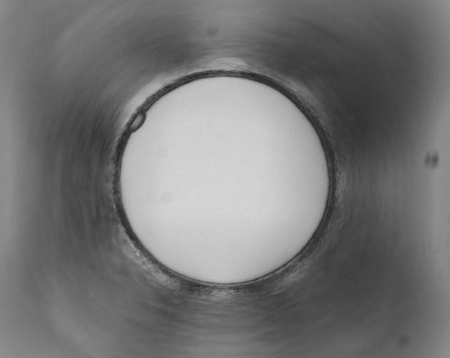 X0000110771326200907131224