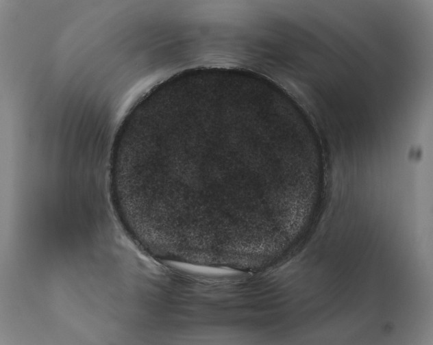 X0000110771327200907131224