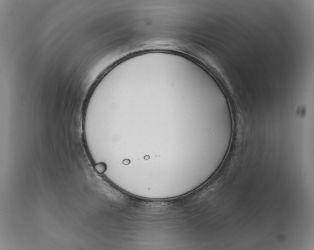 X0000110771328200907131224