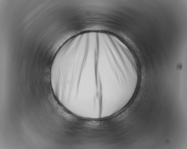 X0000110771329200907131224