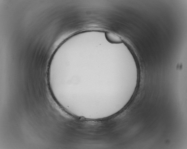 X0000110771333200907131224