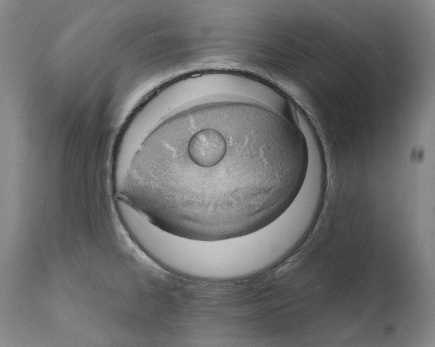 X0000110771334200907131224