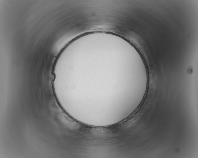 X0000110771336200907131224