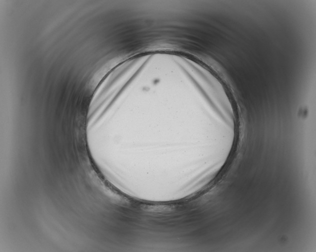 X0000110771337200907131224