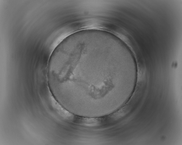 X0000110771338200907131224