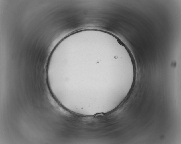 X0000110771341200907131224