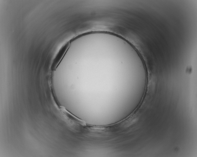 X0000110771342200907131224