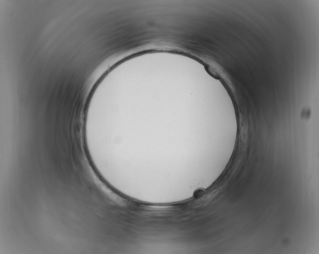 X0000110771343200907131225